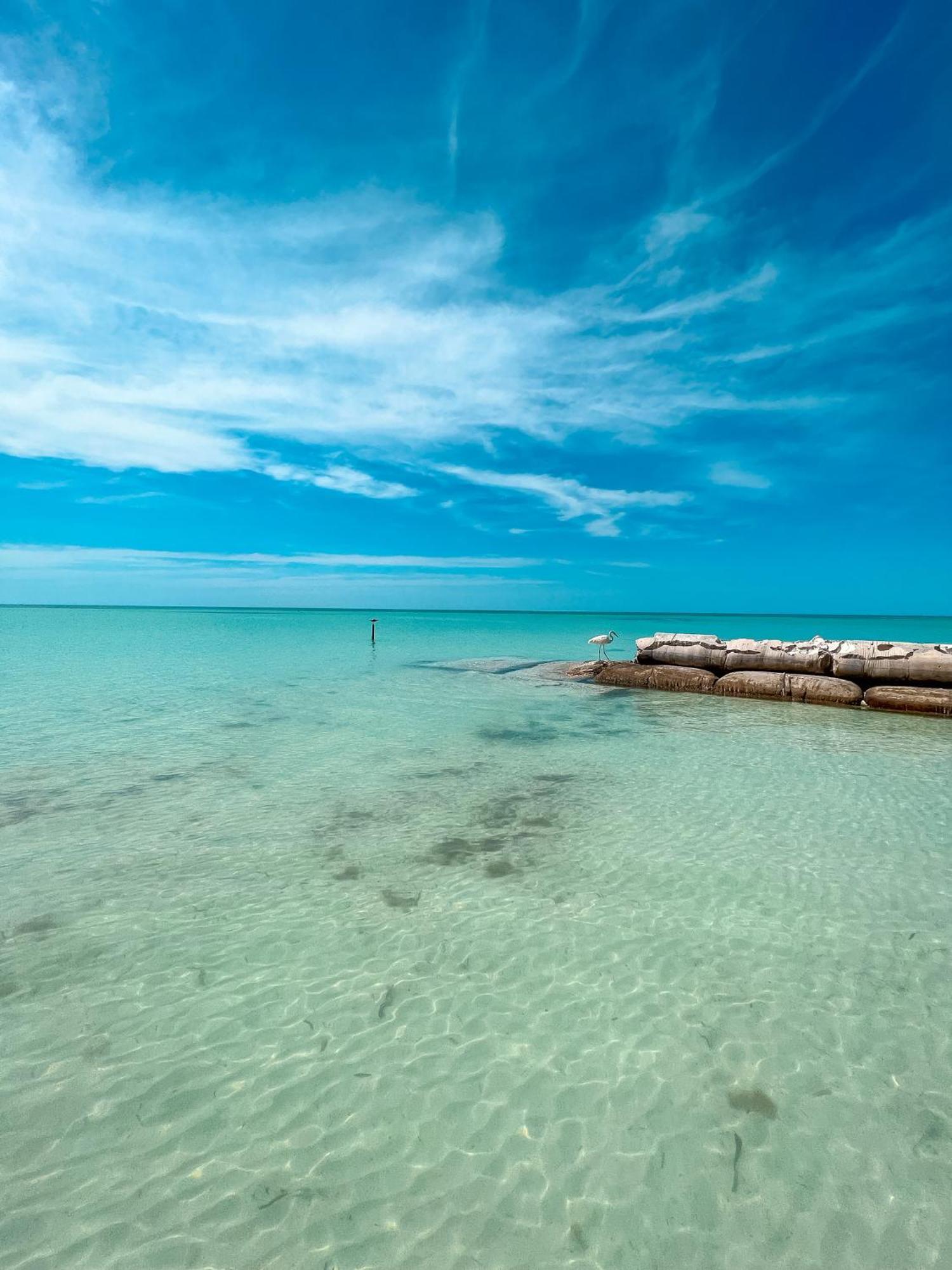Whyknot Holbox Bed and Breakfast Εξωτερικό φωτογραφία